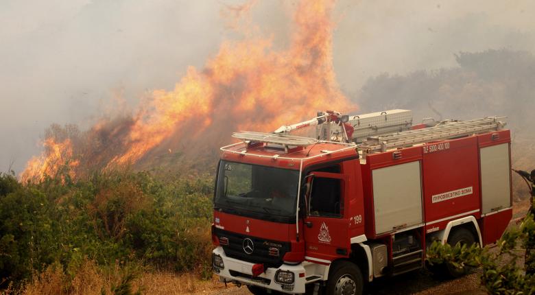 Πυρκαγιά ξέσπασε στη Αγιά της Λάρισας