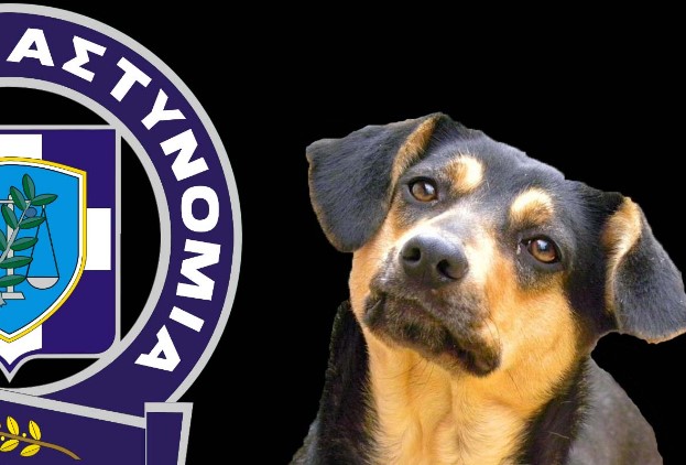 ΕΛ.ΑΣ: Tι να κάνετε αν αντιληφθείτε ότι ένα ζώο κακοποιείται