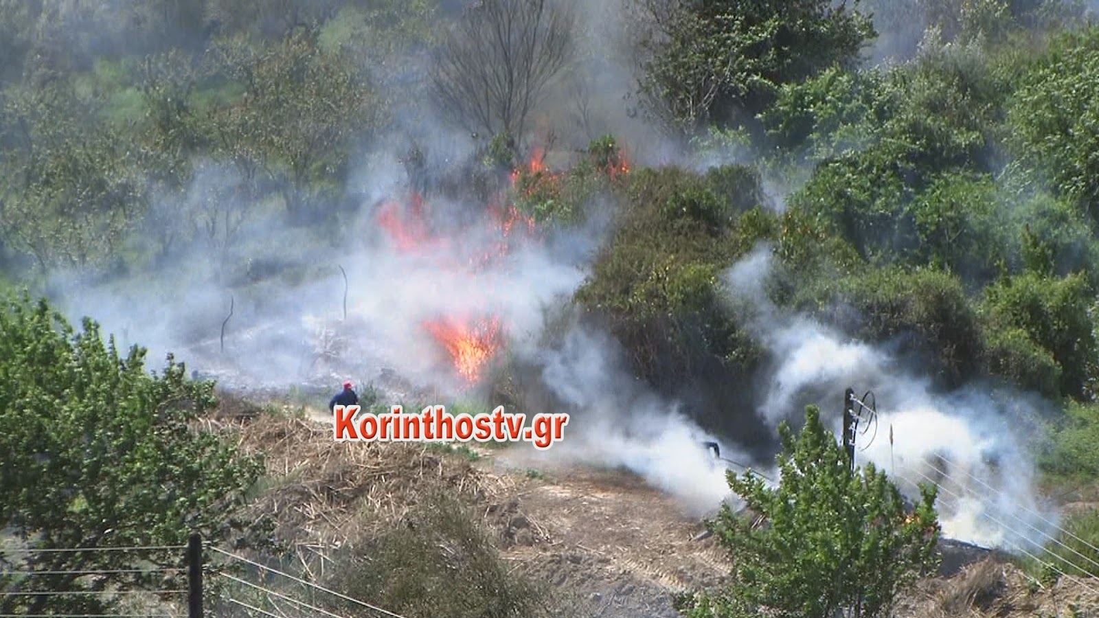 Σε εξέλιξη μεγάλη φωτιά στο Λαλιώτι του δήμου Σικυωνίων (φωτό, βίντεο)
