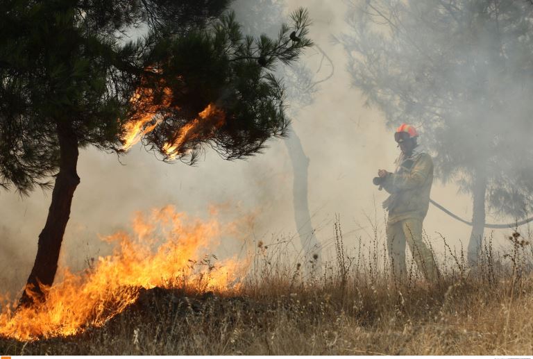 Φωτιά καίει δασική έκταση στην Αιγιαλεία