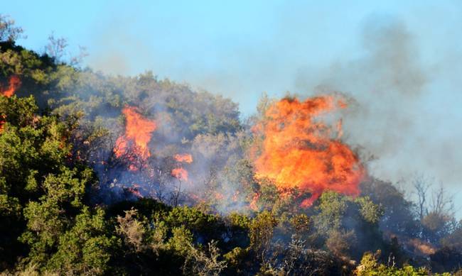 Σε ύφεση η μεγάλη πυρκαγιά στη Ζάκυνθο