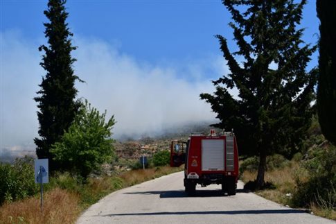 Σε ύφεση η φωτιά στην Πούντα Αιγιαλείας