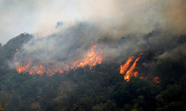 Στον εισαγγελέα 5 Ρουμάνοι για την χθεσινή πυρκαγιά στη Λακωνία
