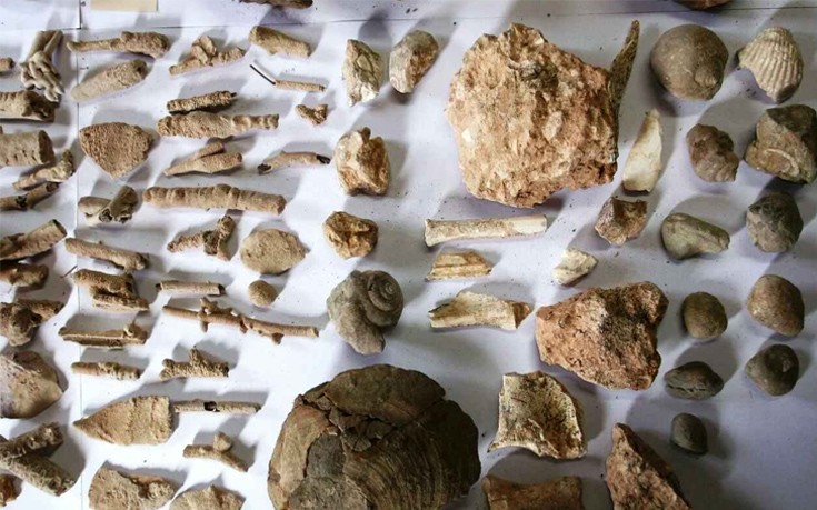 Χαλκιδική: Εκατοντάδες αρχαία αντικείμενα σε σπίτι 72χρονου