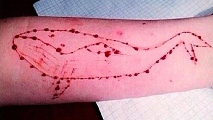 Κιλκίς: Μητέρα κατήγγειλε ότι άγνωστος προσκάλεσε τον 14χρονο γιο της για να παίξει «Μπλε Φάλαινα»