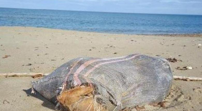 Παλαιοκαστρίτσα: Ξεβράστηκε σάκος με 38 κιλά κάνναβη