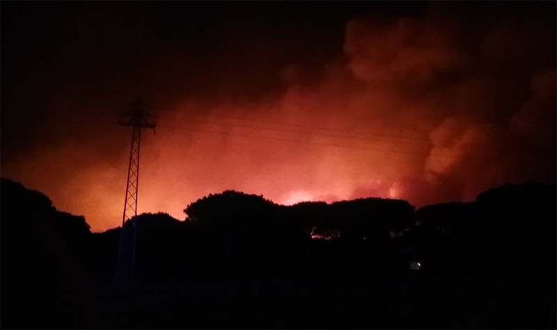 Ισπανία: 50.000 άνθρωποι εγκλωβισμένοι από τις τεράστιες δασικές πυρκαγιές