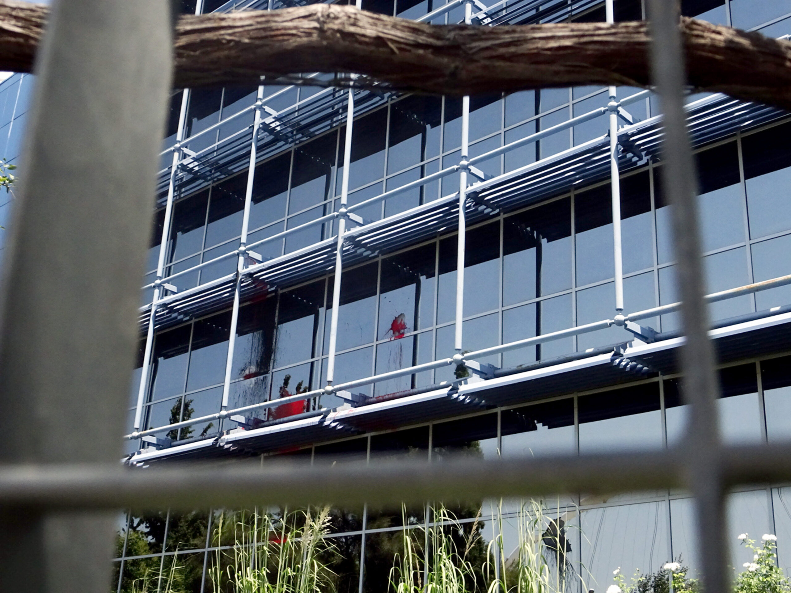 Επίθεση με μπογιές μελών του Ρουβίκωνα στα γραφεία της Siemens (φωτό, βίντεο)