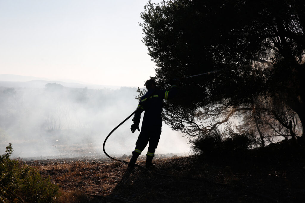 Πύργος: Σύλληψη 65χρονης για πυρκαγιά εξ αμελείας