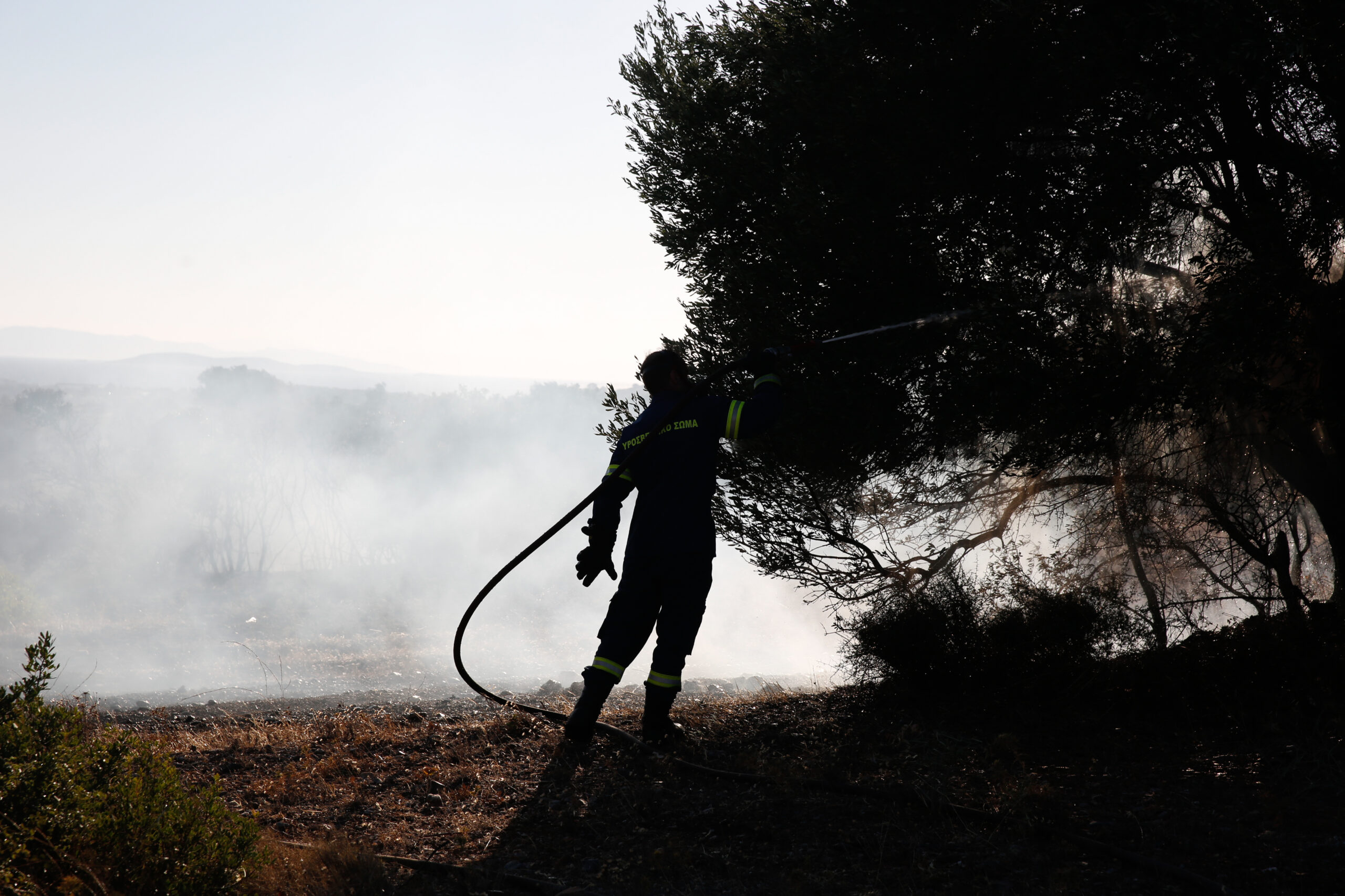 Πύργος: Σύλληψη 65χρονης για πυρκαγιά εξ αμελείας