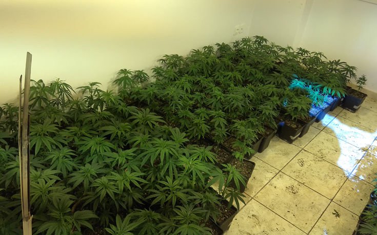 «Λαβράκι» από την ΕΛ. ΑΣ.: Πάνω από 4 εκ. ευρώ θα ήταν τα κέρδη του κυκλώματος ναρκωτικών της Ανατολικής Αττικής (φωτό)