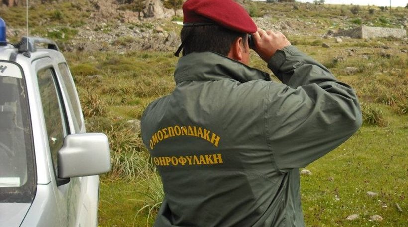 Θηροφύλακας της Κυνηγετικής Ομοσπονδίας Πελοποννήσου θύμα βίαιων επιθέσεων