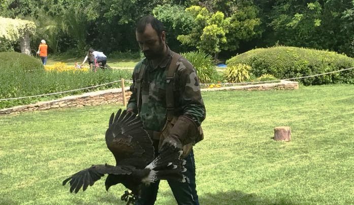 Οταν η Αστυνομία χρησιμοποιεί γεράκια για να καταρρίπτει drones (φωτό)