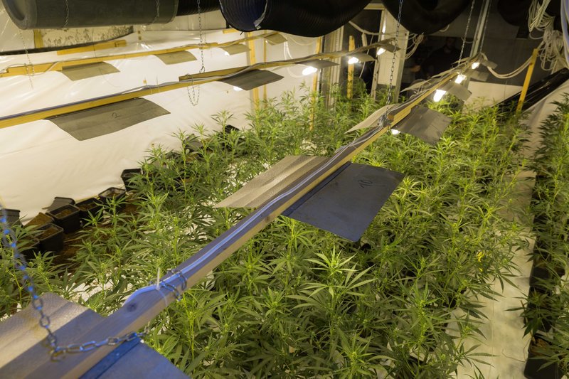 Εντοπίστηκε η μεγαλύτερη ποσότητα κρυσταλλικής κατεργασμένης κάνναβης στην Ελλάδα σε βίλα – Δείτε φωτογραφίες και βίντεο