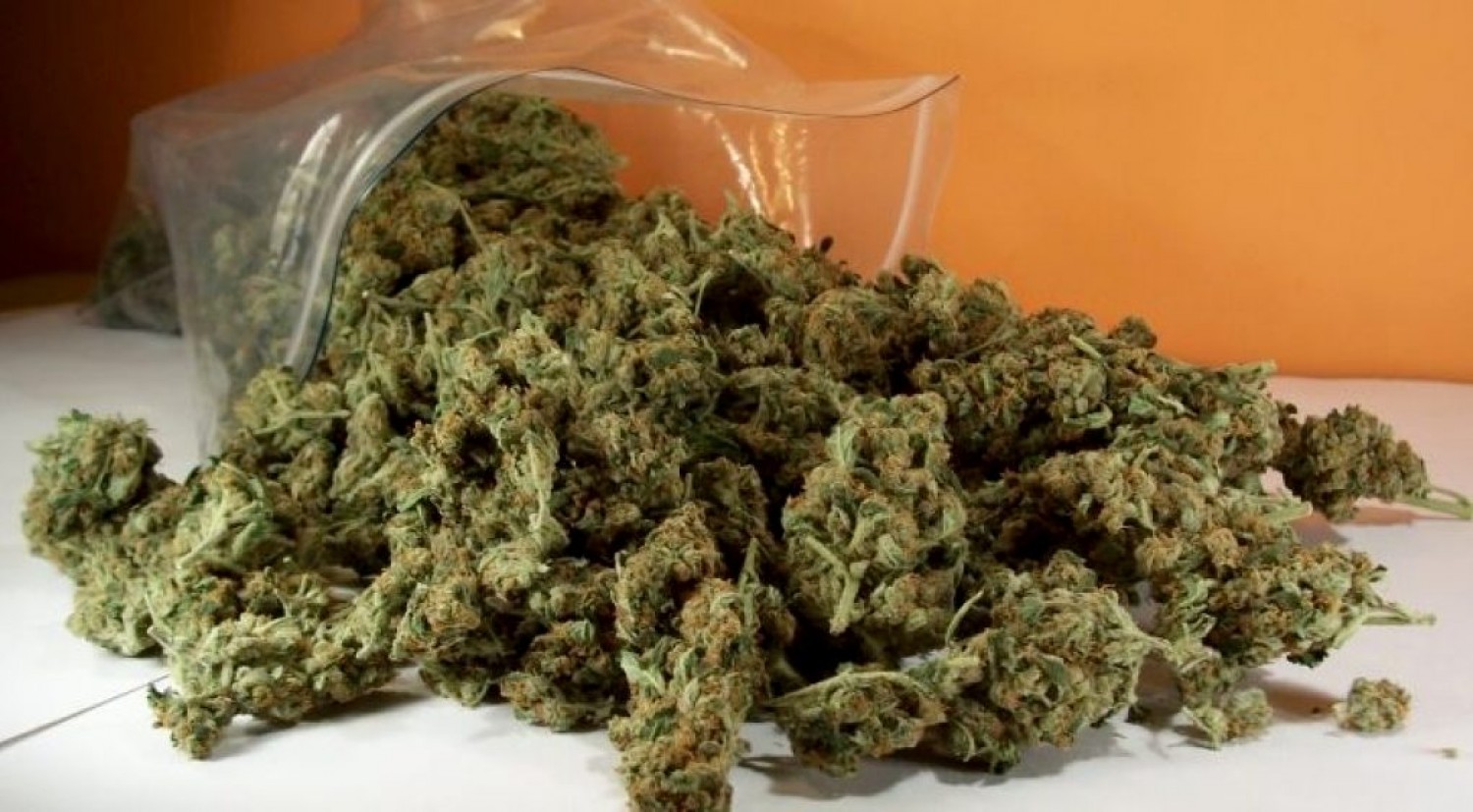 Ικαρία: Σύλληψη 42χρονου για κατοχή ναρκωτικών – Ετοιμαζόταν να καλλιεργήσει 3.500 σπόρους κάνναβης