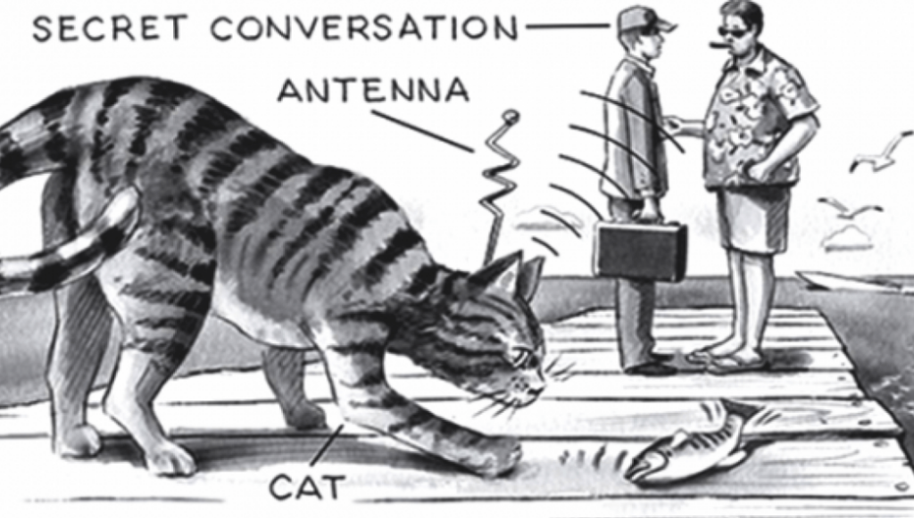 Στην CIA εκπαίδευαν γάτα-κατάσκοπο (!) και στην πρώτη αποστολή… την πάτησε ταξί!