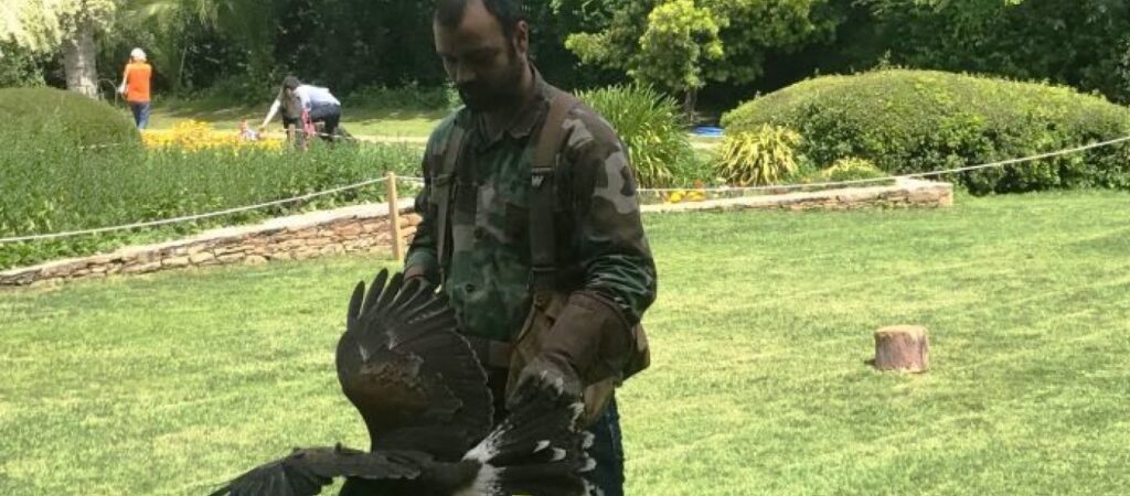 Οταν η Αστυνομία χρησιμοποιεί γεράκια για να καταρρίπτει drones (φωτό)