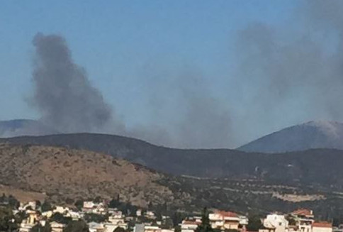 Εύβοια: Φωτιά σε δασική έκταση – Μεγάλη επιχείρηση της πυροσβεστικής (φωτό)