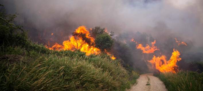 Βοιωτία: Πυρκαγιά σε δασική έκταση στην Ασωπία – Επιχειρούν 22 πυροσβέστες