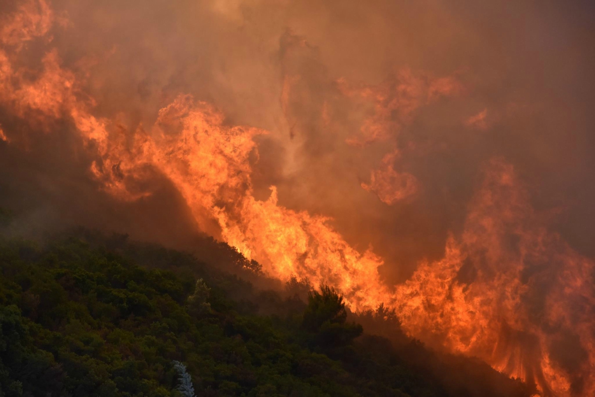 Πάτρα: Πυρκαγιά σε ξύλα και χόρτα στον καταυλισμό Ρομά του Ριγανόκαμπου (φωτό)
