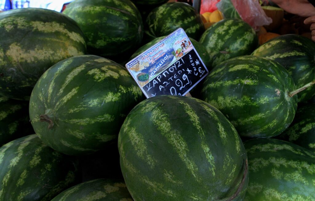 Πάτρα: Κάτω από τα καρπούζια έκρυβε λαθρομετανάστες! (φωτό)