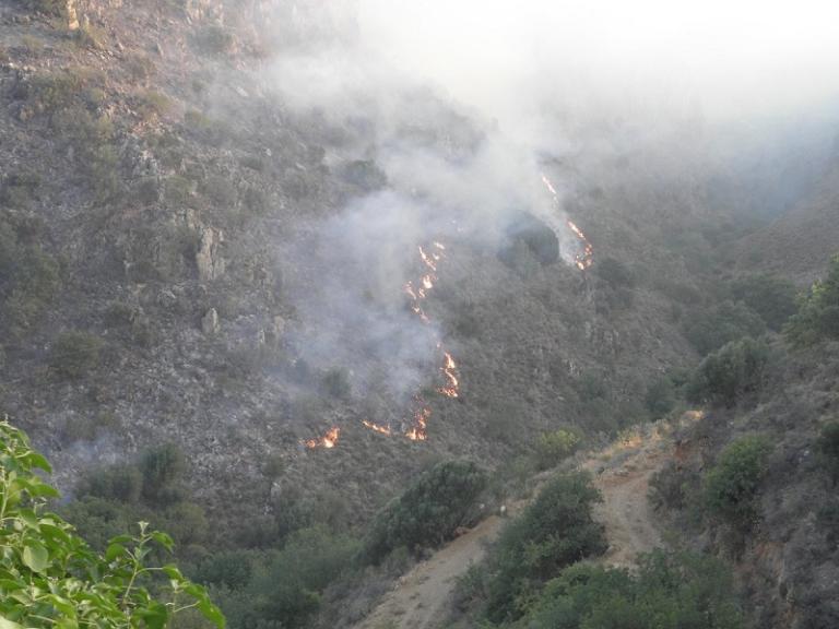 Χανιά: Υπό έλεγχο η φωτιά στον Κακόπετρο