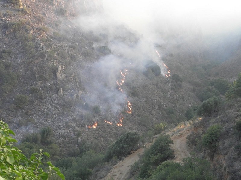 Κρήτη: Σε ύφεση οι πυρκαγιές σε Κακόπετρο και Αποκόρωνα