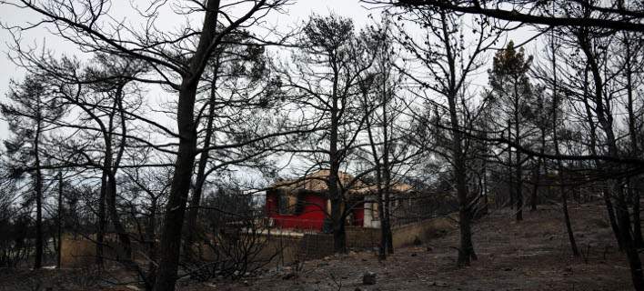 Δήμαρχος Μεγαρέων: «Είναι τεράστιο το μέγεθος καταστροφής στους οικισμούς της Κινέτας»