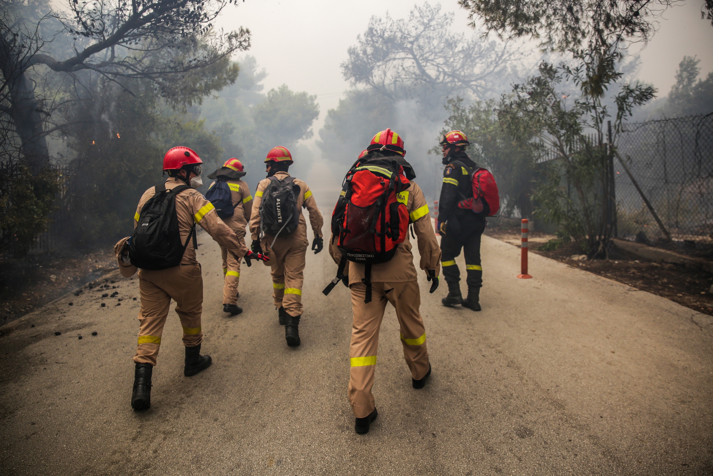 Ζάκυνθος: Υπό πλήρη έλεγχο η πυρκαγιά