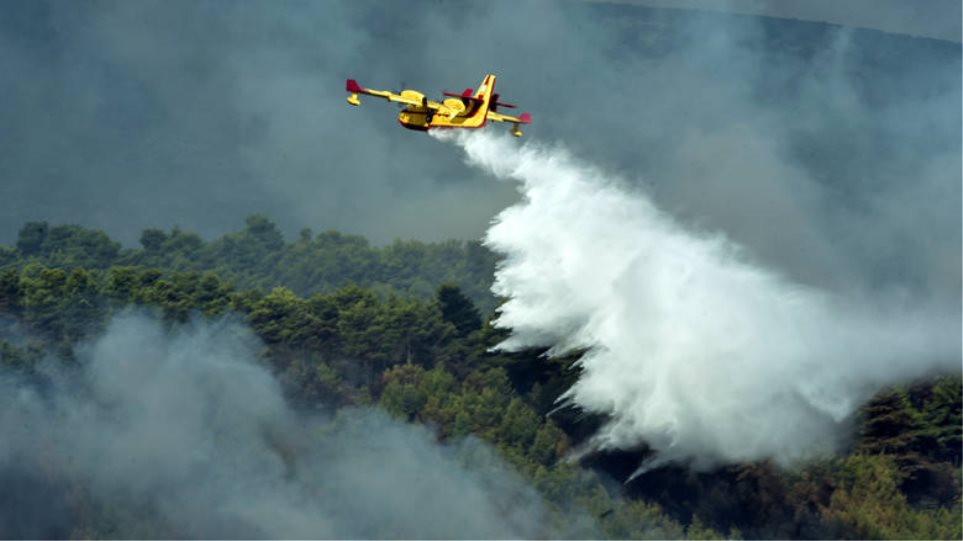 Υπό έλεγχο οι φωτιές σε Πάρο και Εύβοια- Σε ύφεση η φωτιά στη Ζάκυνθο (φωτο-βίντεο)
