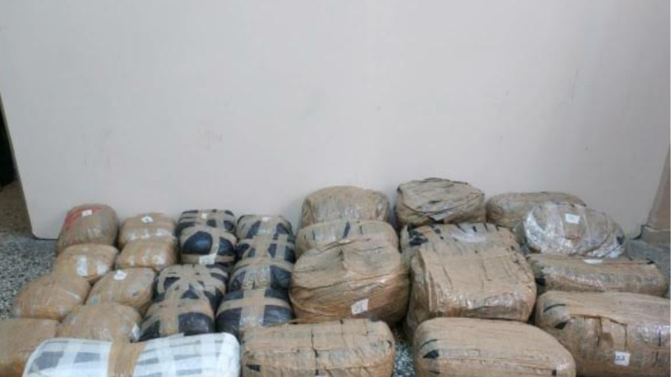 130 κιλά χασίς εντόπισαν οι αρχές κρυμμένα σε δάσος της Καστοριάς!