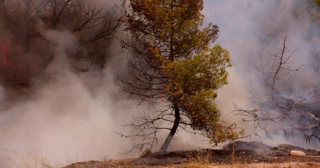 Ύποπτο: Ξανά φωτιά στην Γαλάζια Ακτή στον Μαραθώνα