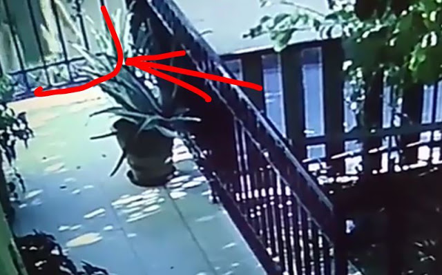 Προσοχή: Νέος τρόπος να «μαρκάρουν» σπίτια- Αν δείτε αυτό στο σπίτι σας πηγαίνετε αμέσως στην Αστυνομία! (βιντεο)