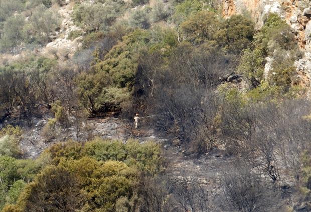 Υπό έλεγχο τέθηκε η φωτιά στην Κρήτη