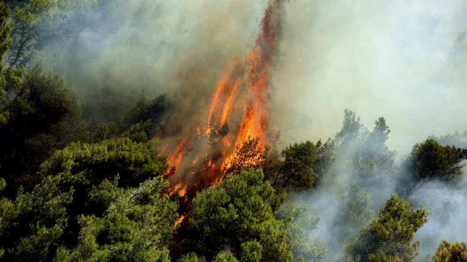 Κέρκυρα: Υπό μερικό έλεγχο η φωτιά στους Ραχτάδες