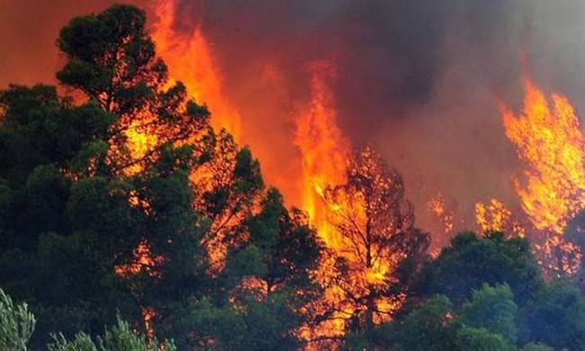 Υπό έλεγχο η πυρκαγιά στους πρόποδες της  Πάρνηθας