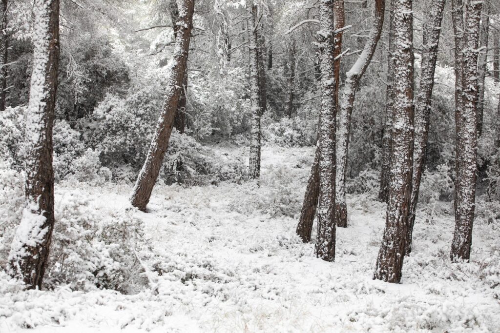 Θεσσαλονίκη: Απεγκλωβίστηκαν 12 άτομα που είχαν παγιδευθεί στον Χορτιάτη