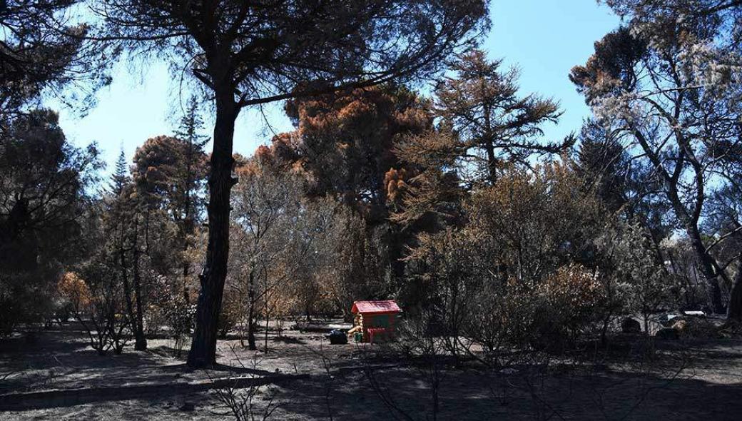 Υποπλοίαρχος Λ.Σ. Δ.Μπαλτάκος: «Χειροπιαστές λύσεις»