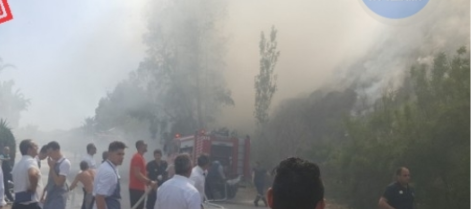 Ρόδος: Φωτιά κοντά σε μεγάλο ξενοδοχείο στο Φαληράκι (βίντεο)