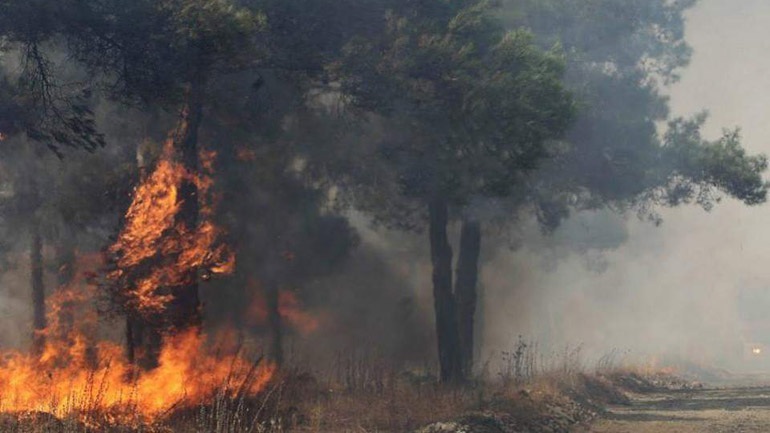Ένας νεκρός μετά από πυρκαγιά στον Αυλώνα