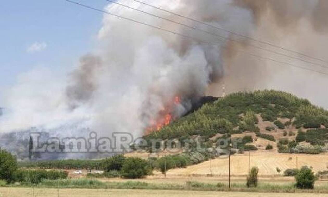 Φωτιά από κεραυνό στον Εθνικό Δρυμό Οίτης