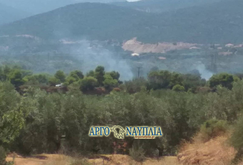 Πυρκαγιά στην Αρκαδία – Μαίνεται σε δασική έκταση στα Κάτω Δολιανά