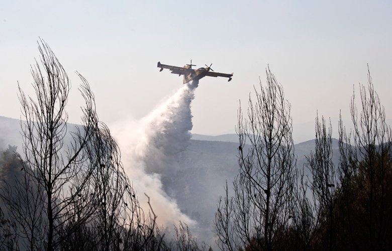Φωτιά σε δασική έκταση στην Ιτέα Φωκίδας