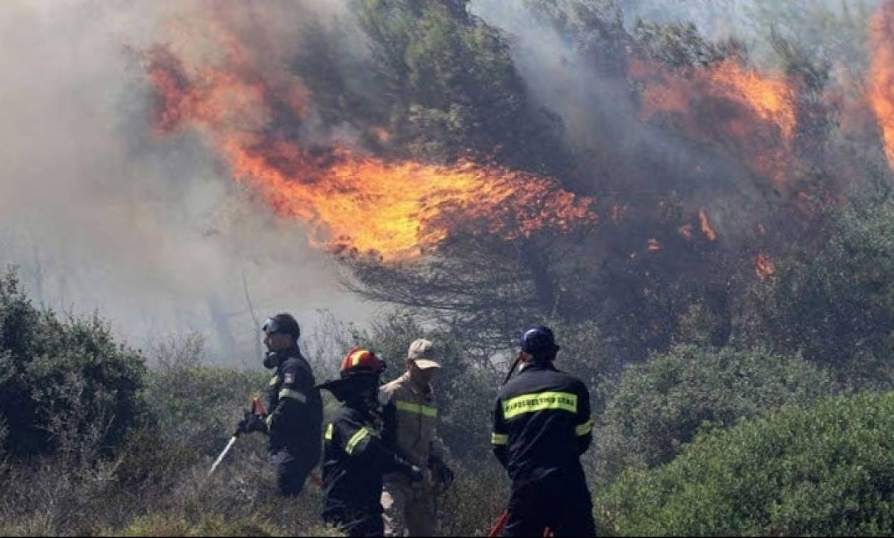 Φωτιά στην Φθιώτιδα – Δεν απειλείται κατοικημένη περιοχή