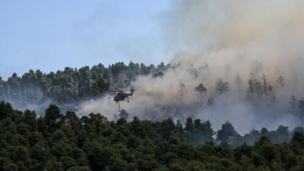 Eύβοια: Πυρκαγιά καίει δάσος Natura – Ζητήθηκε η συνδρομή των κατοίκων! (βίντεο, φωτό)