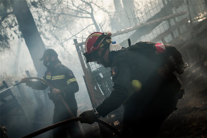 Εύβοια: Εικόνες απόγνωσης από τον πύρινο εφιάλτη – Κρανίου τόπος η περιοχή (φωτο)