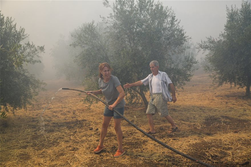 Εύβοια: Υποψίες για εμπρησμό η φωτιά