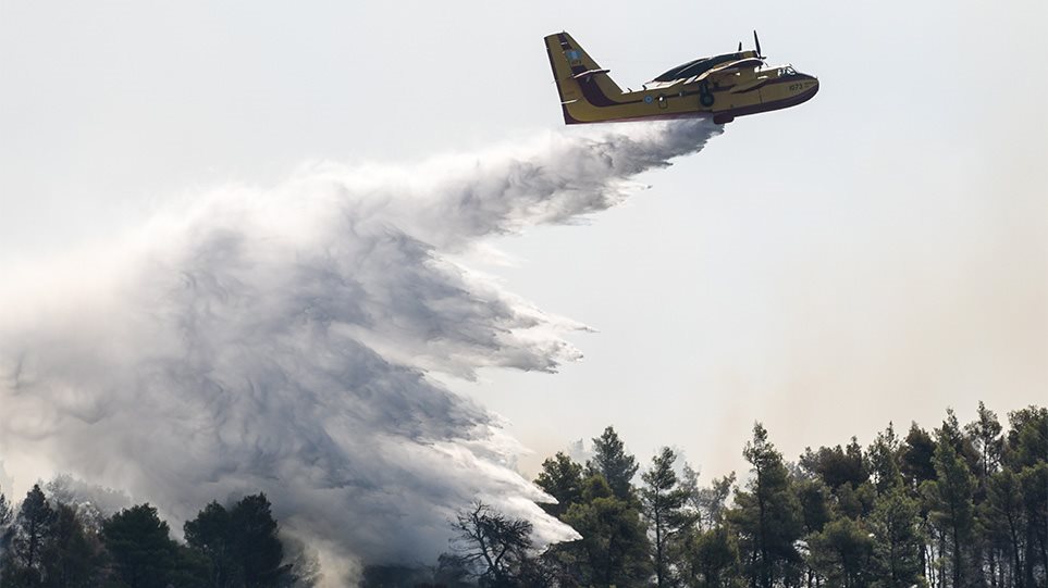 Ευβοία: Η φωτιά απειλεί ξανά την Πλατάνα (βίντεο)