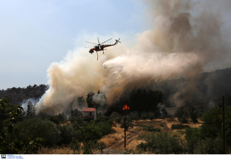 Εύβοια: Τρίτη ημέρα προσπάθειας κατάσβεσης της φωτιάς – Aπειλείται το Κέντρο Άγριας Ζωής