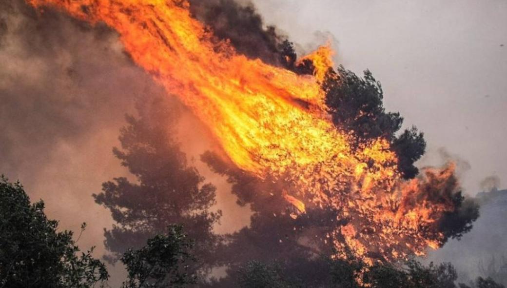 Πυρκαγιά στο Καινούργιο Αγρινίου – Κοντά σε κατοικίες οι φλόγες (βίντεο)